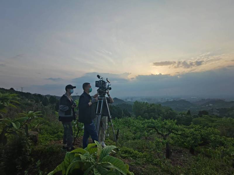 创意破圈！乐昌市电商产品宣传视频用故事化叙事引爆流量
